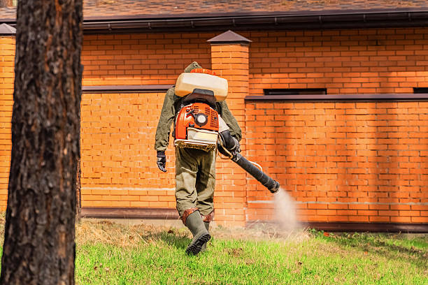 Cockroach Follow-Up and Monitoring in Littleton